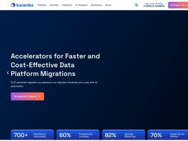 kanerika.com